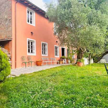 Podere Il Piantoneto * Stiava