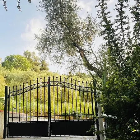Podere Il Piantoneto Вилла *