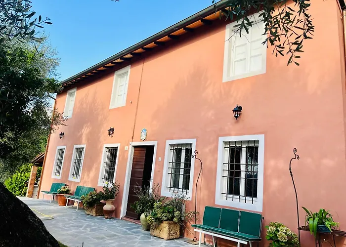 Podere Il Piantoneto