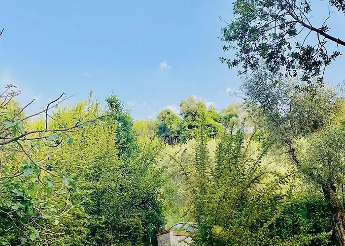 Podere Il Piantoneto * Stiava