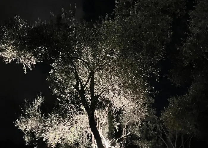 Podere Il Piantoneto *